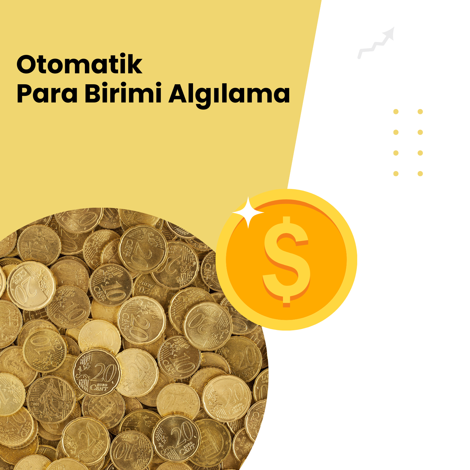 Softtr E-İhracat Sitesi Paketleri Otomatik Para Birimi Algılama