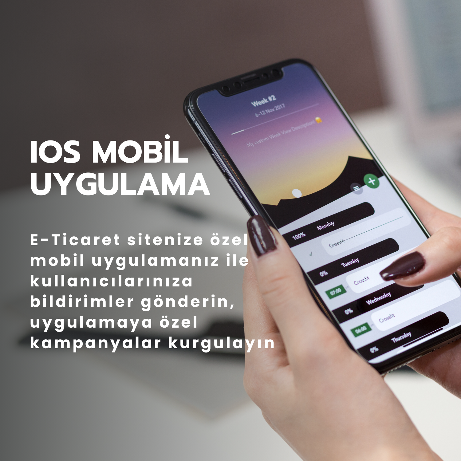 Softtr E-İhracat Sitesi IOS Mobil Uygulama